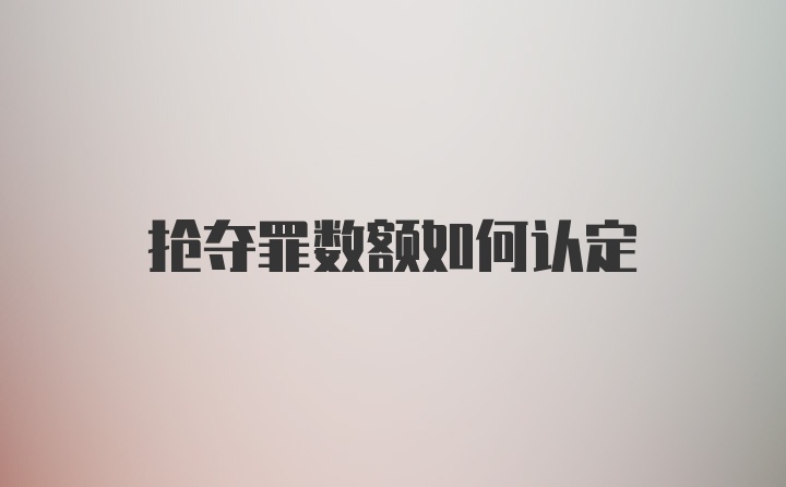 抢夺罪数额如何认定