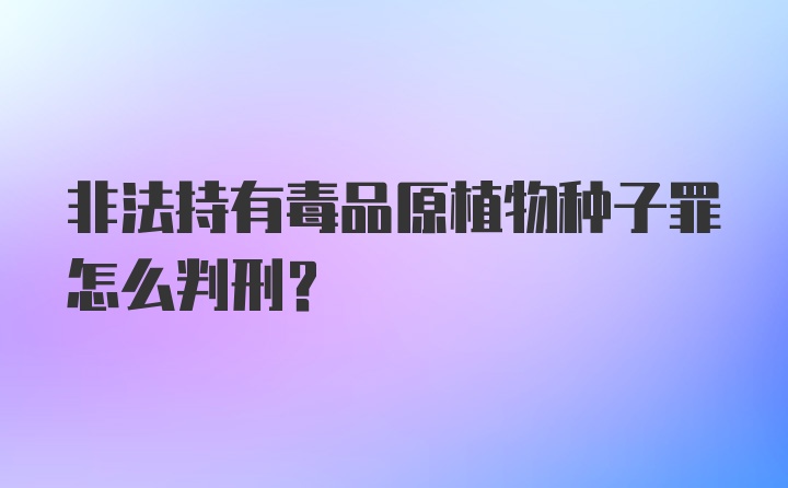 非法持有毒品原植物种子罪怎么判刑？