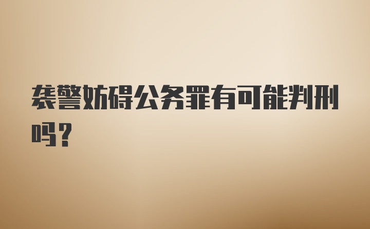 袭警妨碍公务罪有可能判刑吗？