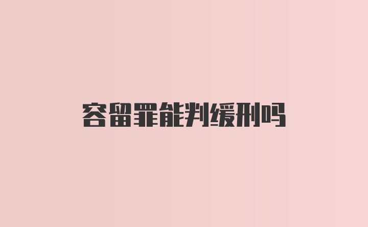 容留罪能判缓刑吗