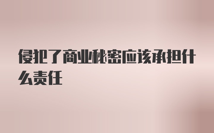 侵犯了商业秘密应该承担什么责任