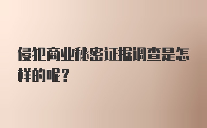 侵犯商业秘密证据调查是怎样的呢？