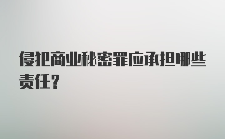 侵犯商业秘密罪应承担哪些责任？