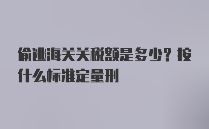 偷逃海关关税额是多少？按什么标准定量刑