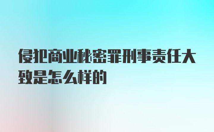 侵犯商业秘密罪刑事责任大致是怎么样的