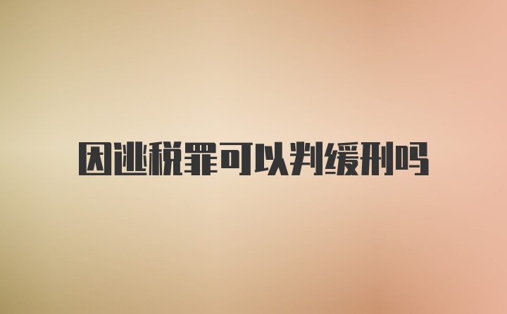 因逃税罪可以判缓刑吗