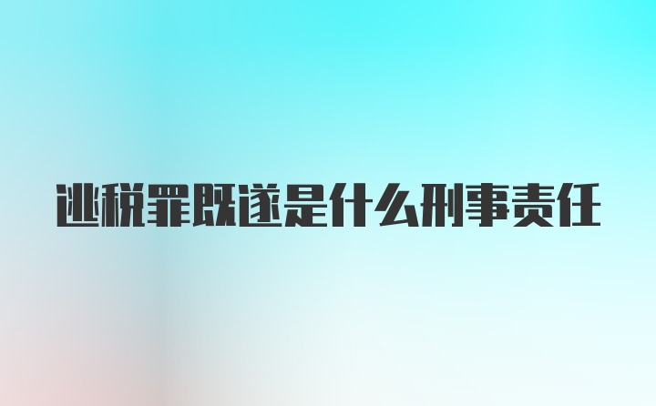 逃税罪既遂是什么刑事责任