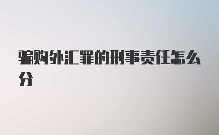 骗购外汇罪的刑事责任怎么分