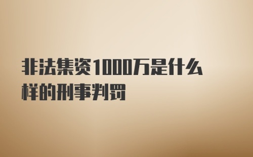 非法集资1000万是什么样的刑事判罚