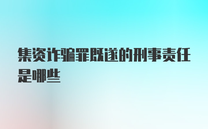 集资诈骗罪既遂的刑事责任是哪些