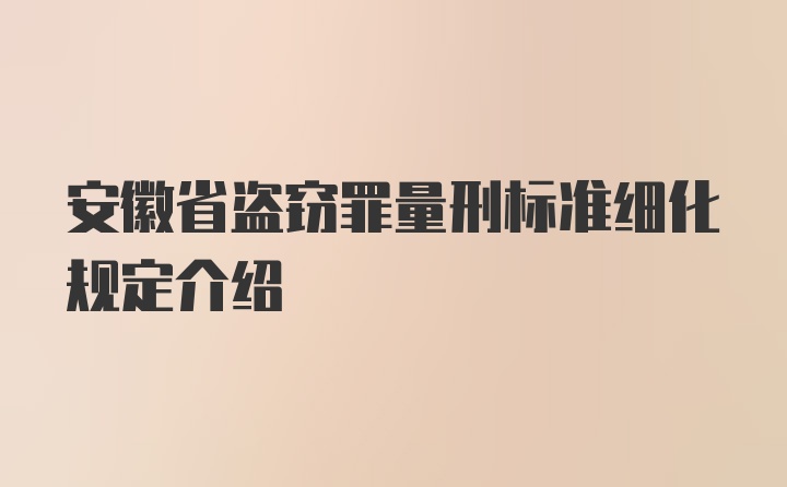 安徽省盗窃罪量刑标准细化规定介绍