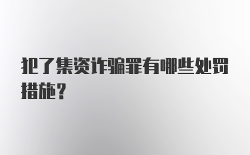 犯了集资诈骗罪有哪些处罚措施？