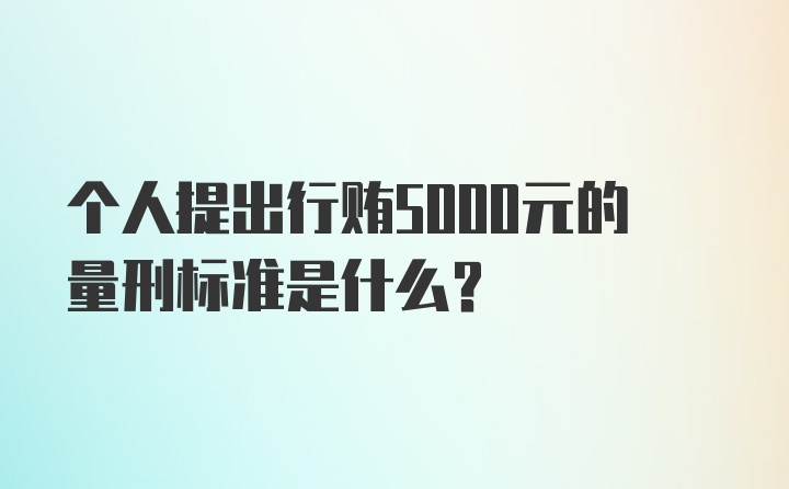 个人提出行贿5000元的量刑标准是什么？