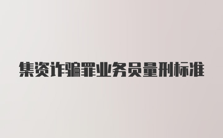 集资诈骗罪业务员量刑标准