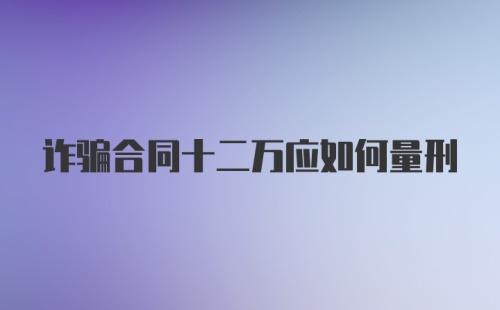 诈骗合同十二万应如何量刑