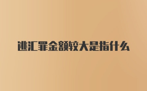 逃汇罪金额较大是指什么