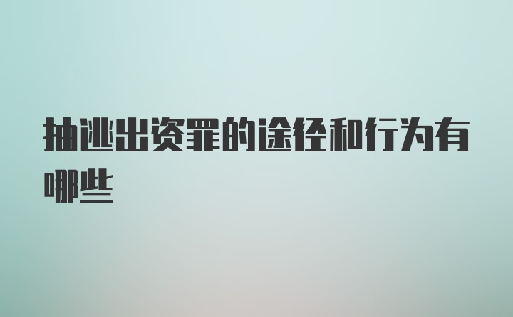 抽逃出资罪的途径和行为有哪些