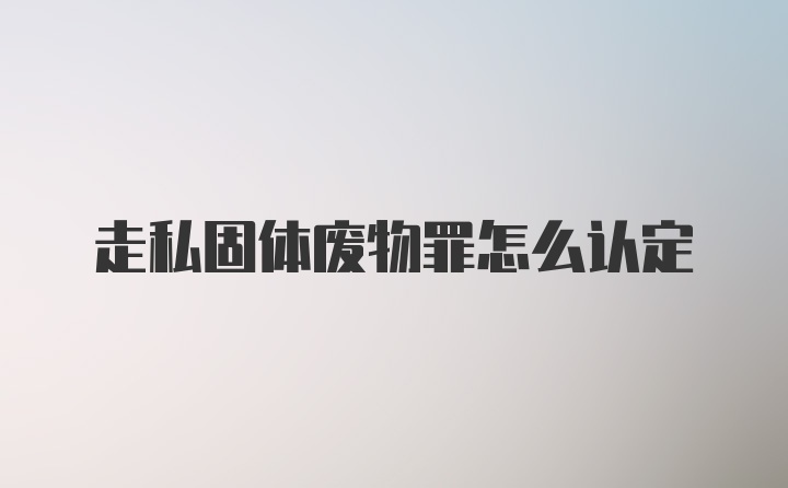 走私固体废物罪怎么认定