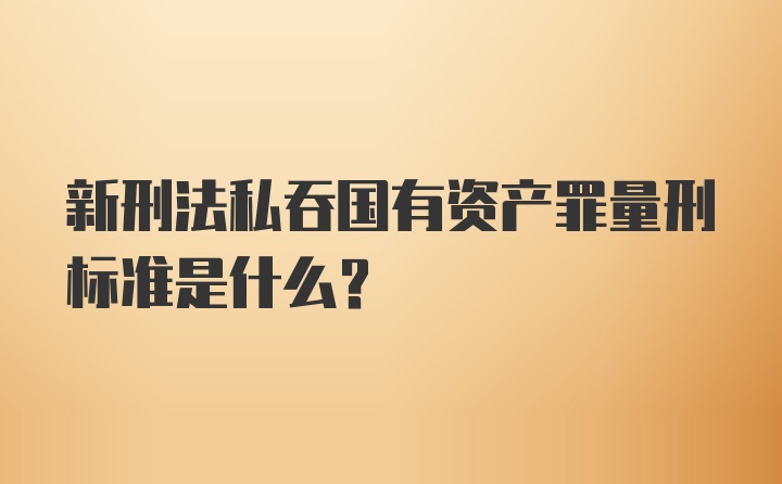 新刑法私吞国有资产罪量刑标准是什么？