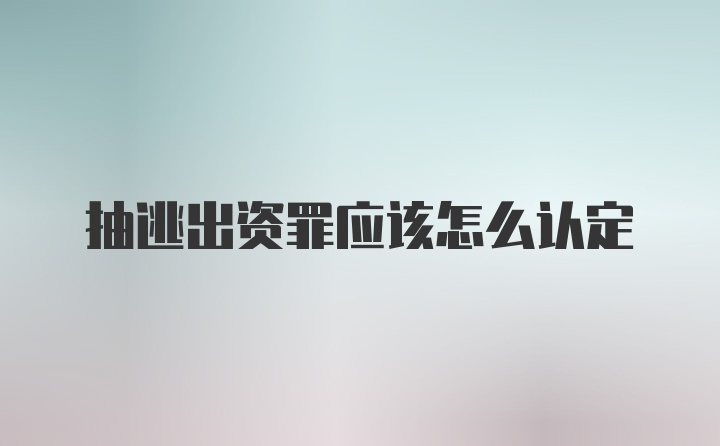 抽逃出资罪应该怎么认定