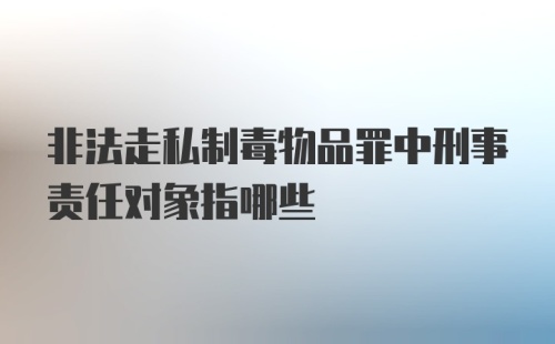 非法走私制毒物品罪中刑事责任对象指哪些