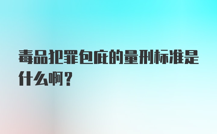 毒品犯罪包庇的量刑标准是什么啊？