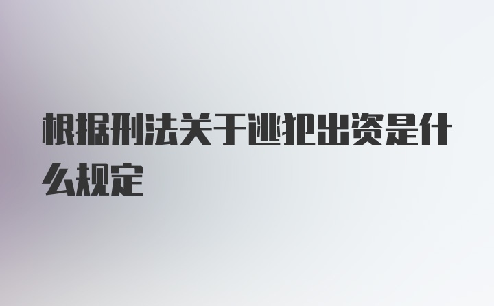 根据刑法关于逃犯出资是什么规定