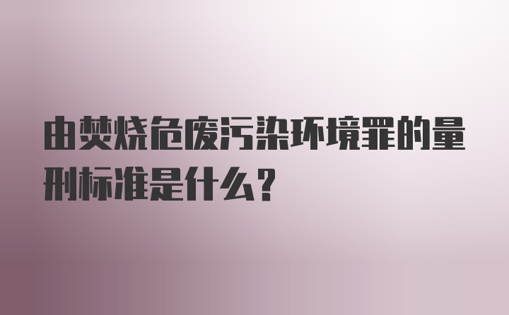 由焚烧危废污染环境罪的量刑标准是什么？