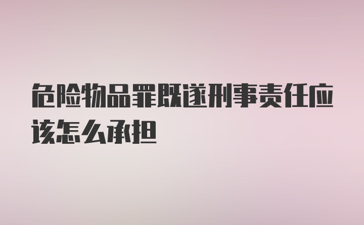 危险物品罪既遂刑事责任应该怎么承担