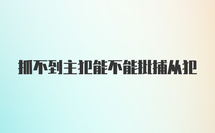 抓不到主犯能不能批捕从犯