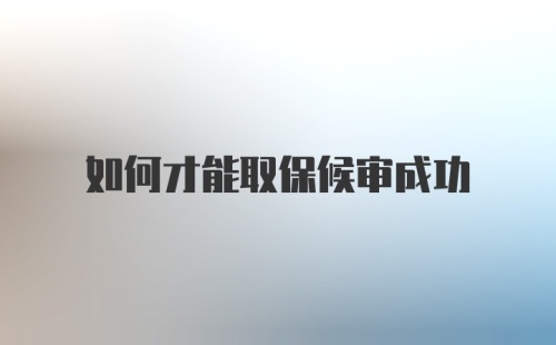 如何才能取保候审成功