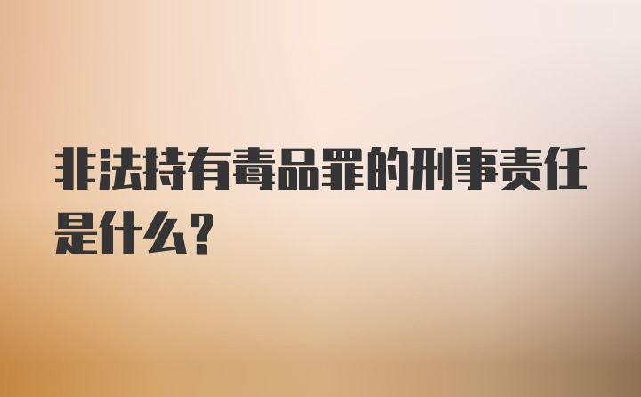 非法持有毒品罪的刑事责任是什么?