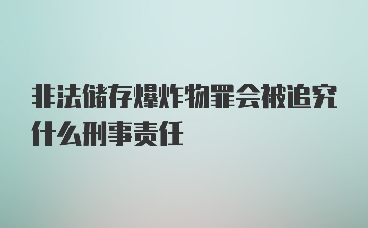 非法储存爆炸物罪会被追究什么刑事责任