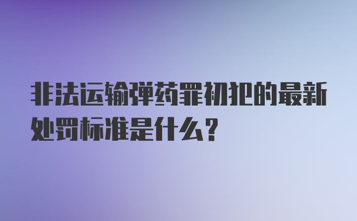 非法运输弹药罪初犯的最新处罚标准是什么？