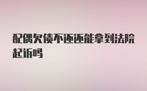 配偶欠债不还还能拿到法院起诉吗