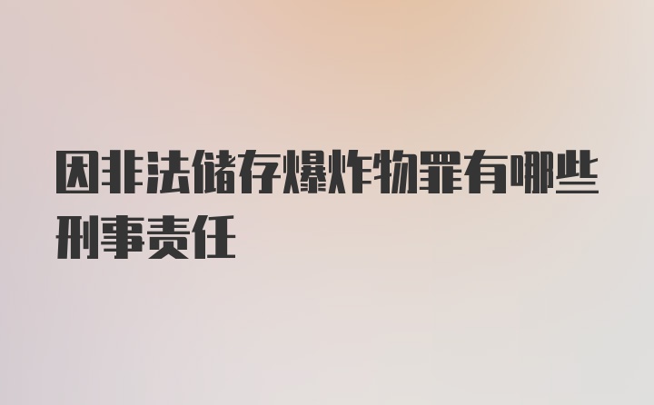 因非法储存爆炸物罪有哪些刑事责任