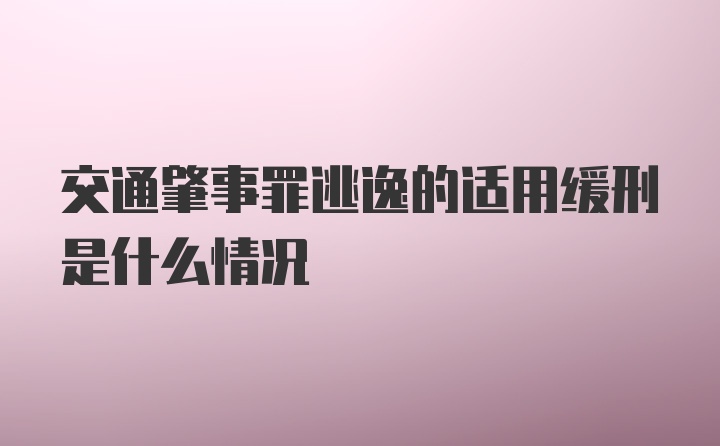 交通肇事罪逃逸的适用缓刑是什么情况