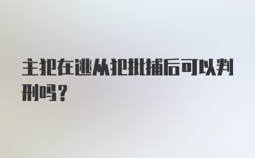 主犯在逃从犯批捕后可以判刑吗?