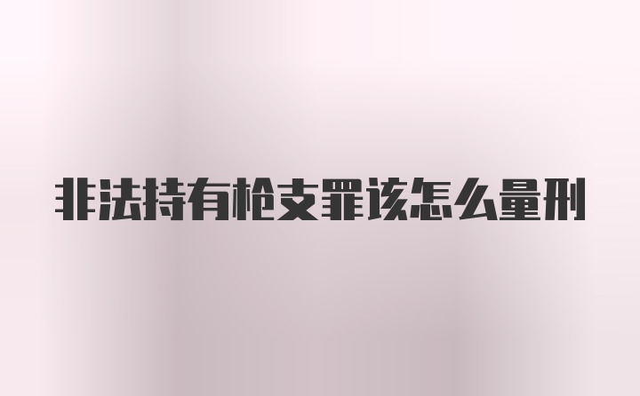 非法持有枪支罪该怎么量刑