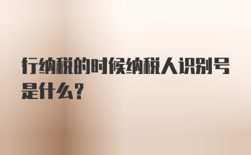 行纳税的时候纳税人识别号是什么？