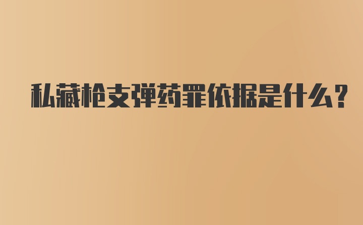 私藏枪支弹药罪依据是什么？