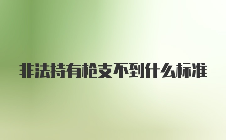 非法持有枪支不到什么标准