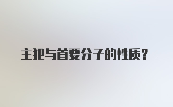 主犯与首要分子的性质？