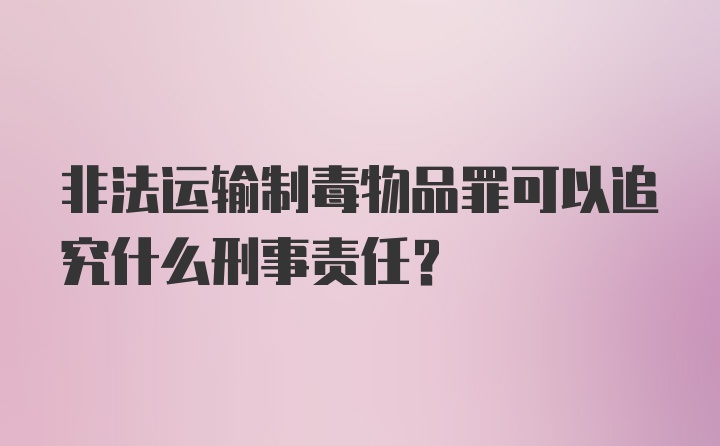 非法运输制毒物品罪可以追究什么刑事责任？