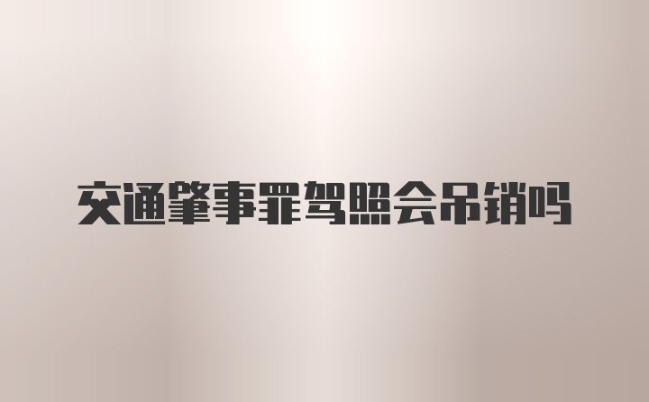 交通肇事罪驾照会吊销吗