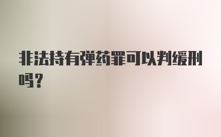 非法持有弹药罪可以判缓刑吗?