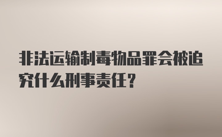 非法运输制毒物品罪会被追究什么刑事责任？