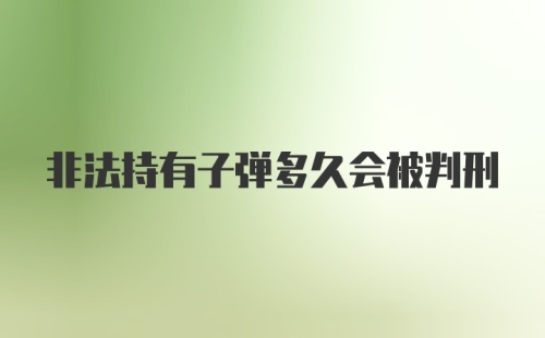 非法持有子弹多久会被判刑