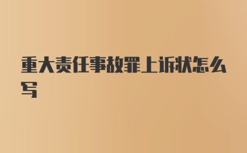 重大责任事故罪上诉状怎么写