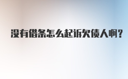 没有借条怎么起诉欠债人啊？